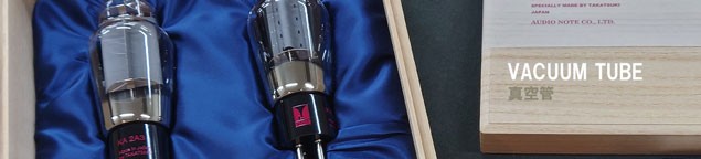 VACUUM TUBE 真空管